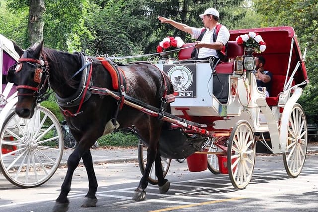 Central Park Carriage Ride w/ Drop Off @ Tavern On The Green - Photo 1 of 15